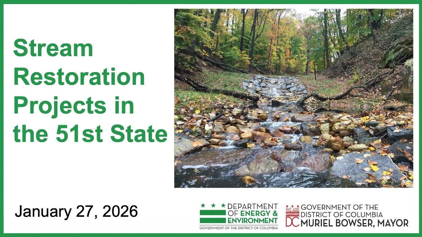 Stream Restoration Projects in the 51st State