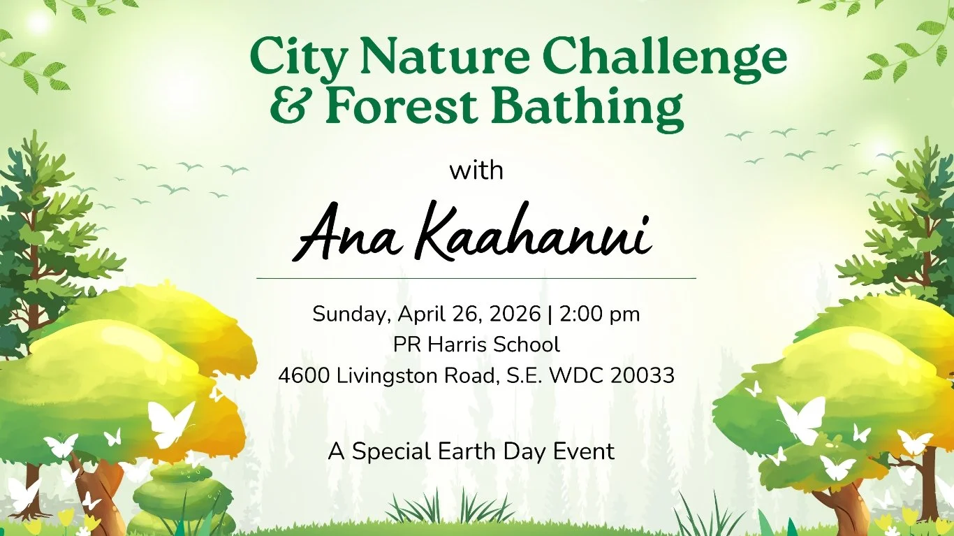 City Nature Challenge &amp; Forest Bathing