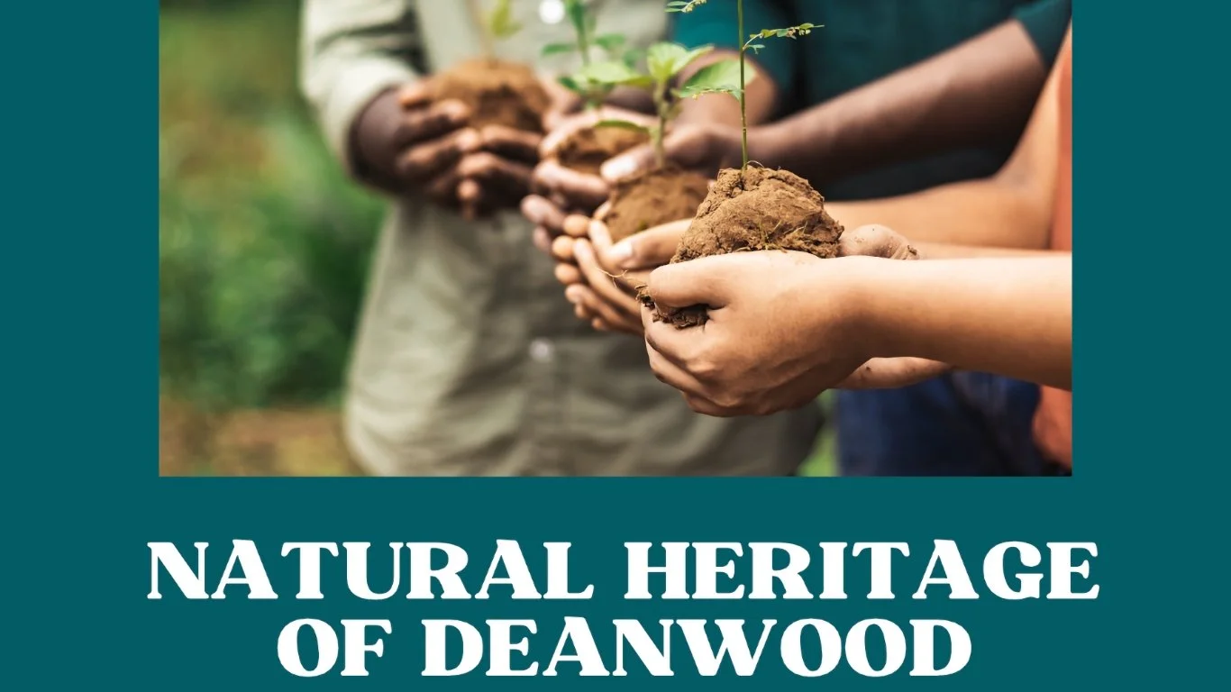 Natural Heritage of Deanwood