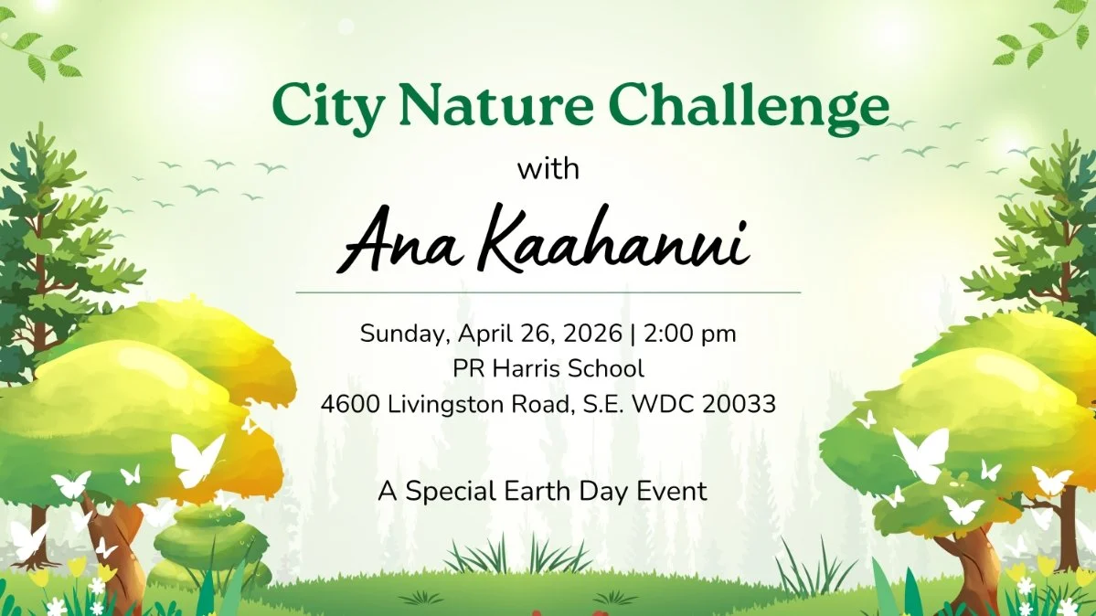 City Nature Challenge