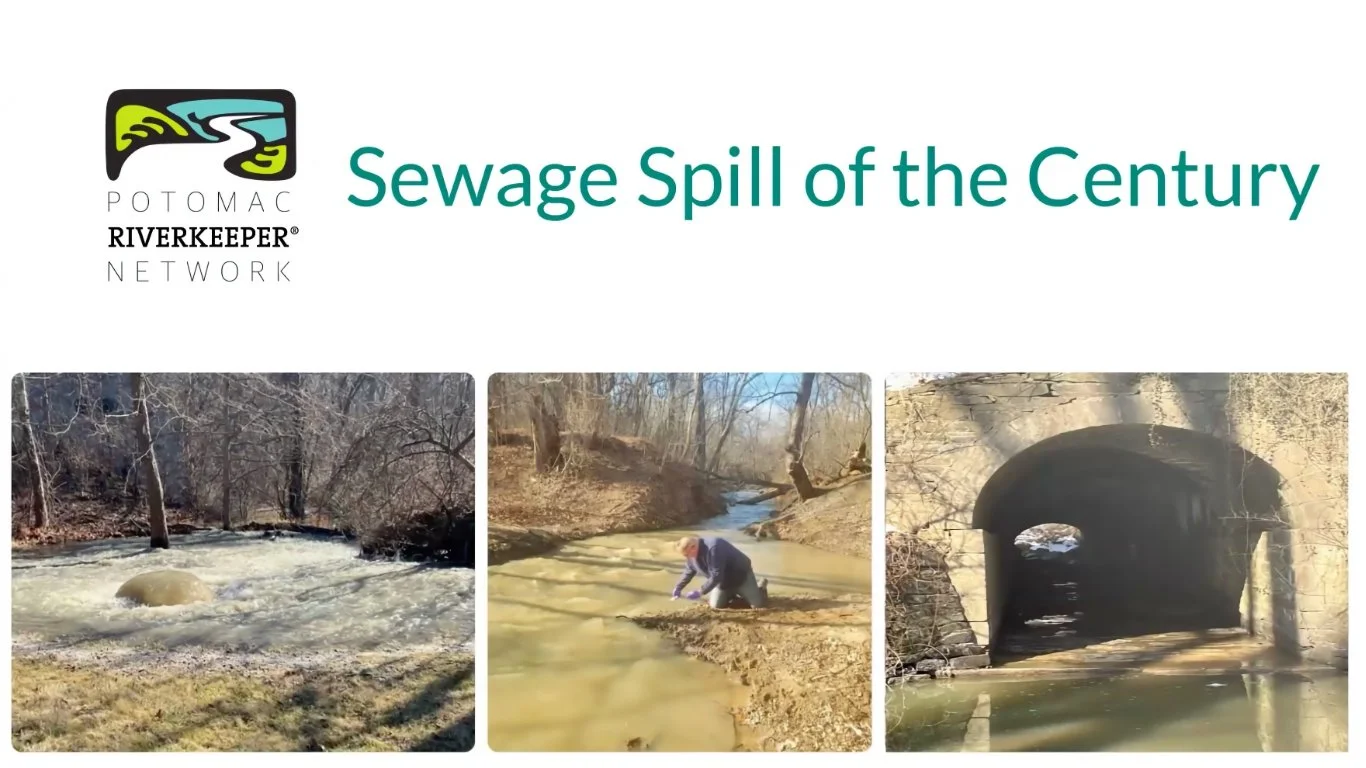 APACC General Meeting with Potomac Riverkeeper