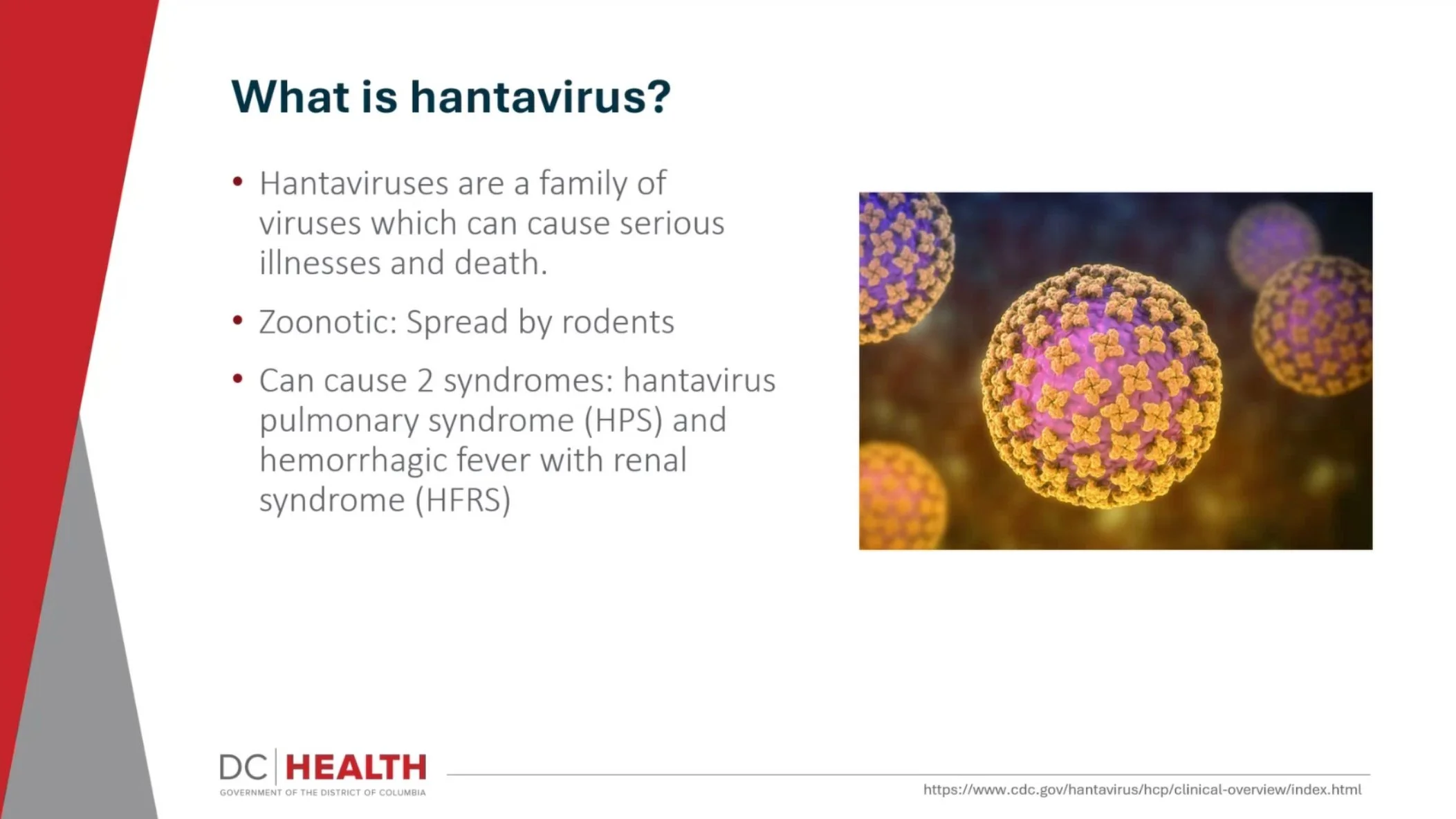 Hantavirus Presentation with Dr. Cara Drehoff of DC Dept of Health