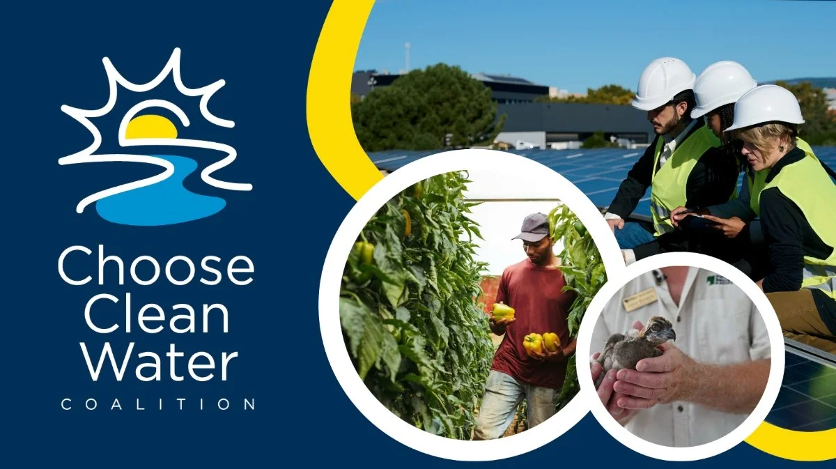 Building the Chesapeake Environmental Workforce: A Community Conversation