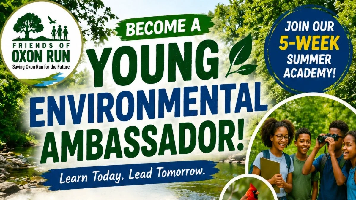 Become a Young Environmental Ambassador