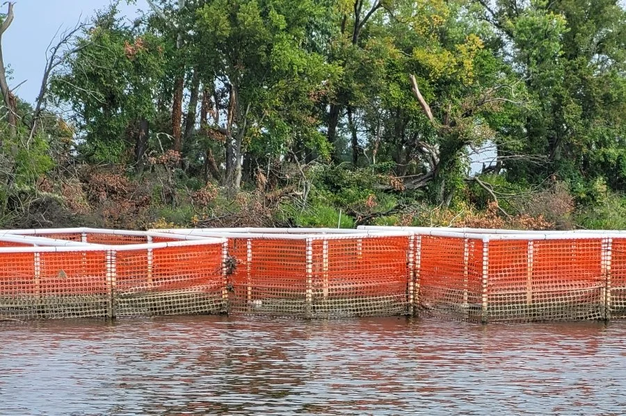 boat-tour.jpg
