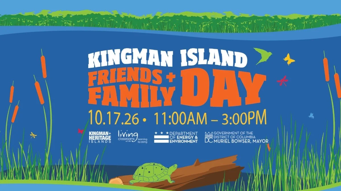 Kingman Island Friends &amp; Family Day