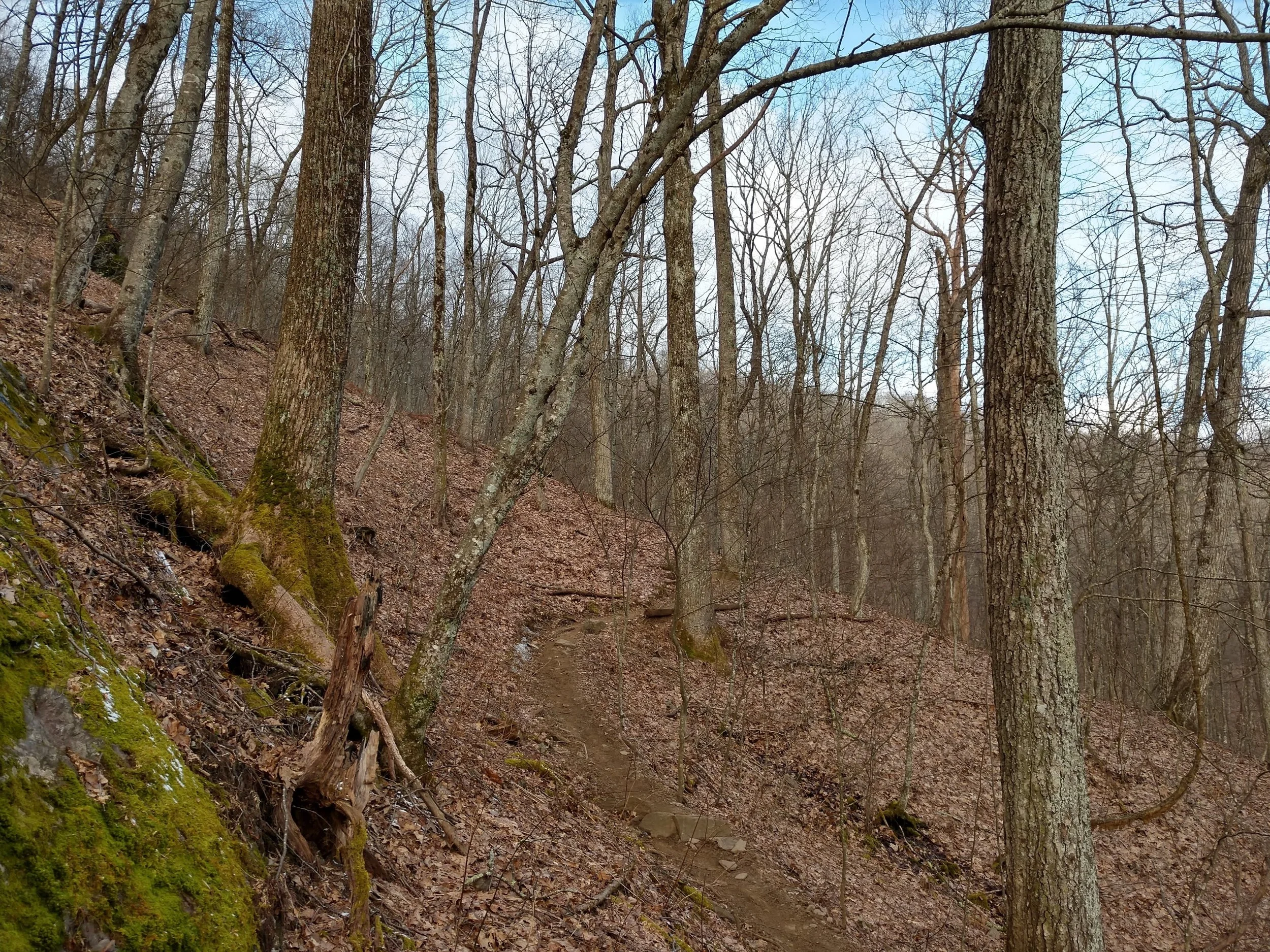 IMG_20180313_090955522_HDR.jpg