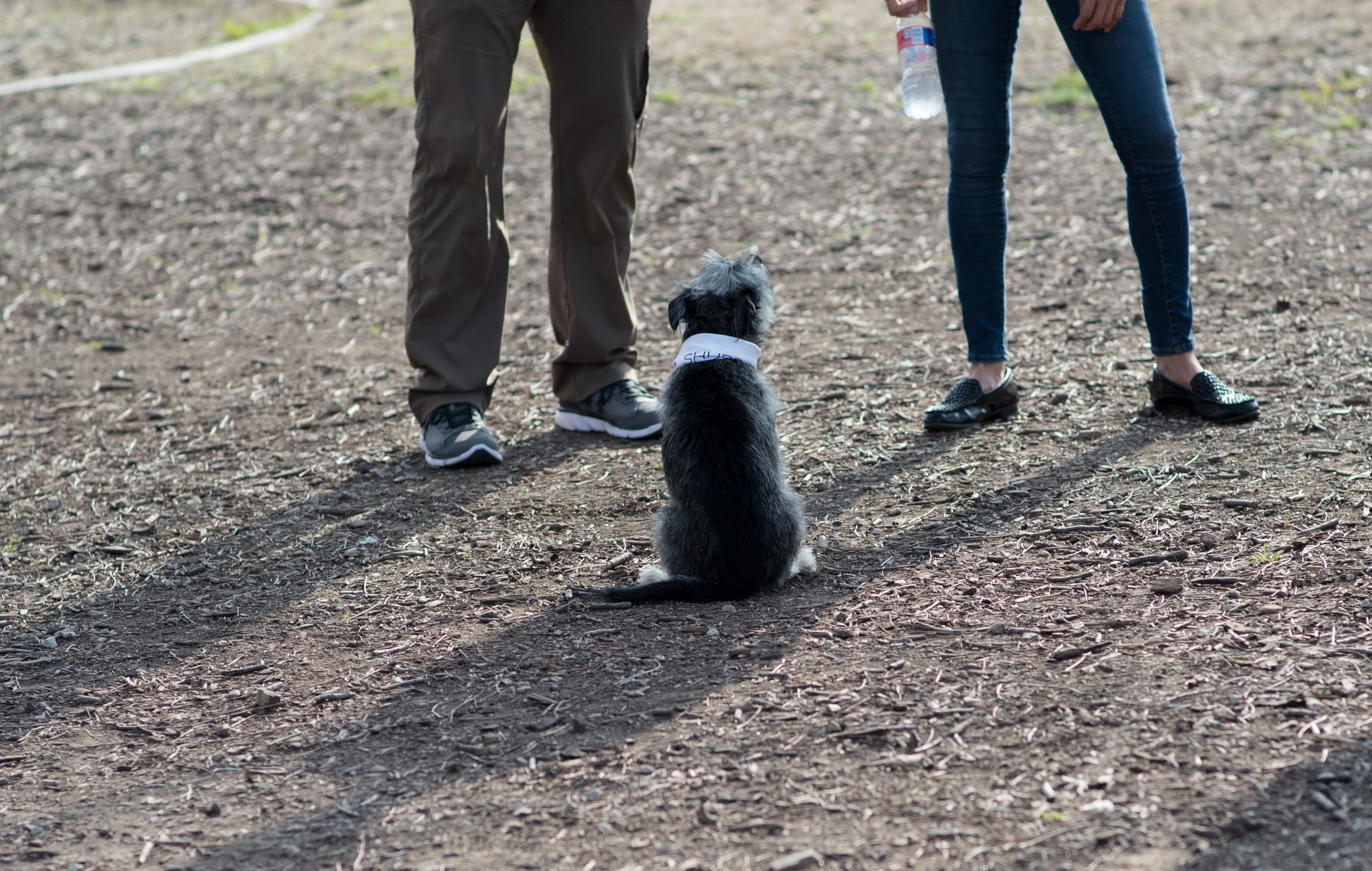 DSC_4168.jpg