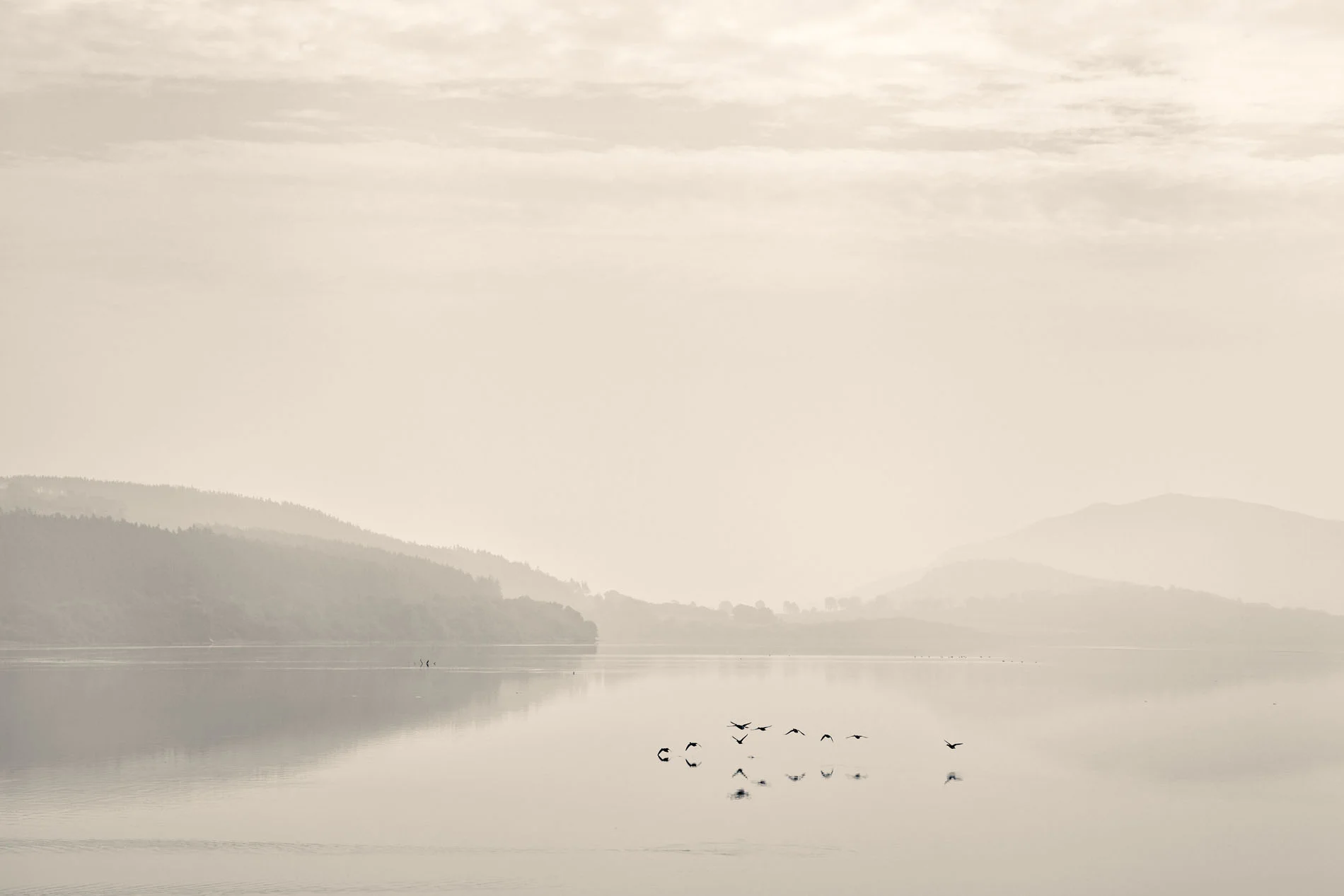 Dornoch Firth, Scotland