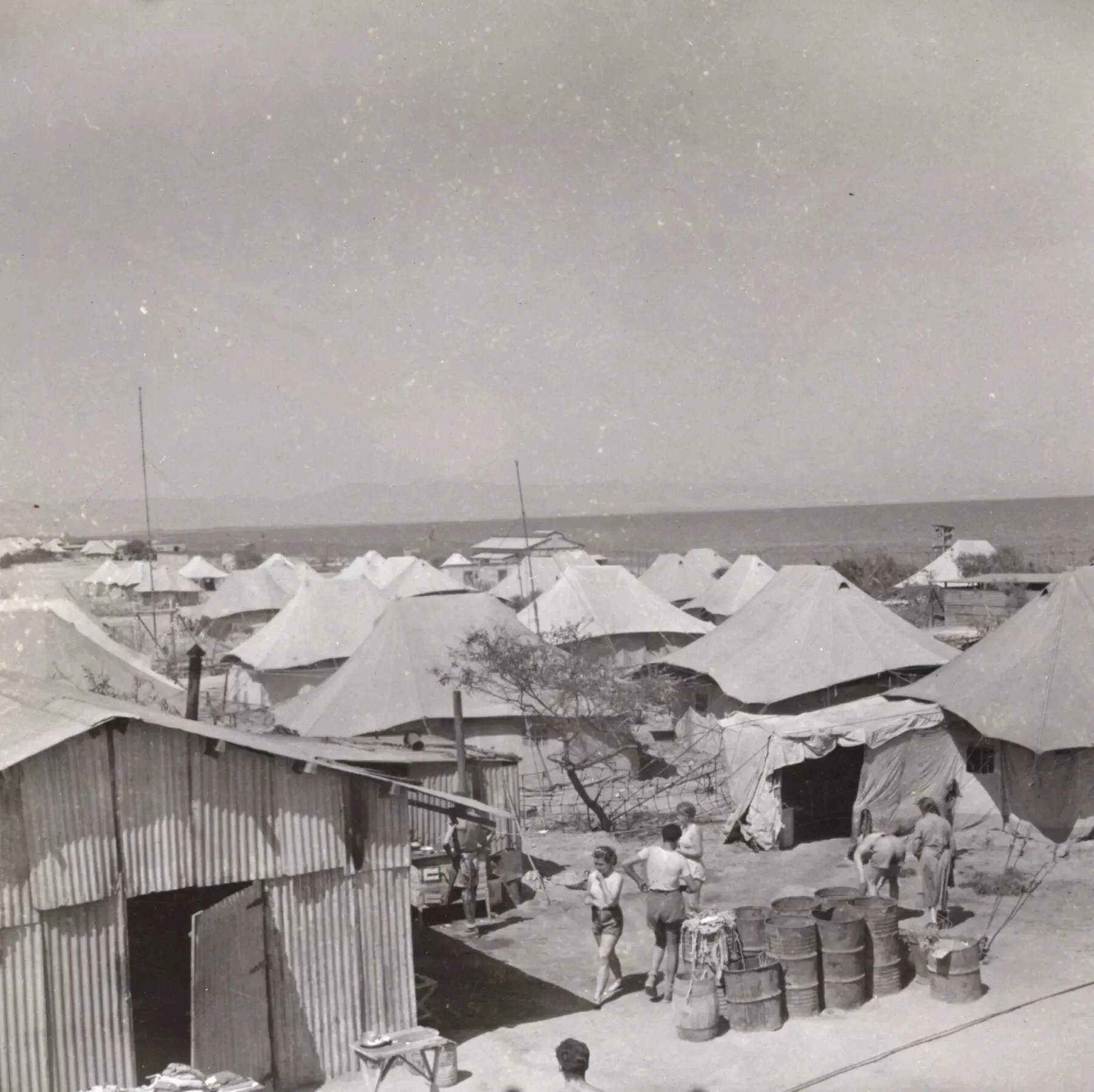 Trading undeserving for deserving refugees: Afghan Jews and European displaced persons, 1945-1949 