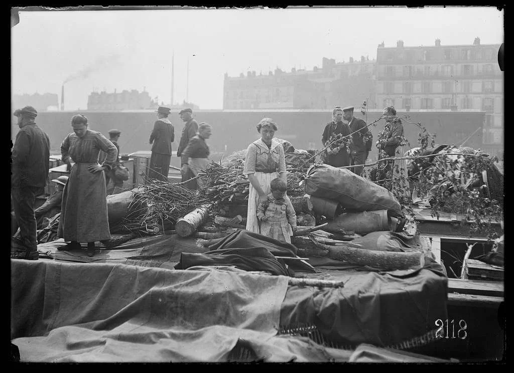 Refugee History Returns