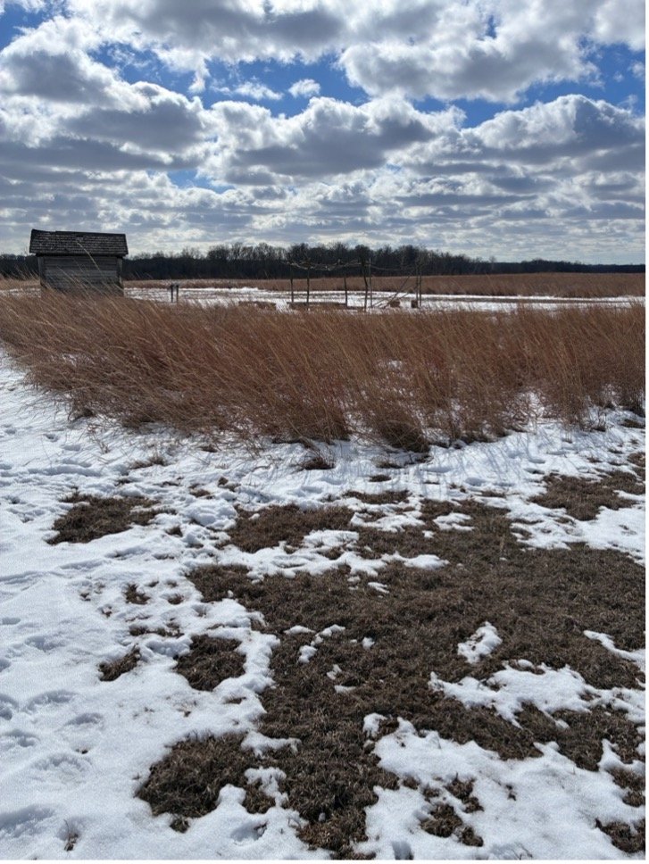 Prophetstown was a Sanctuary City, Part II
