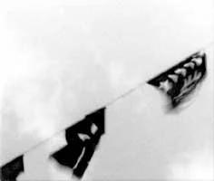 aire-11.jpg