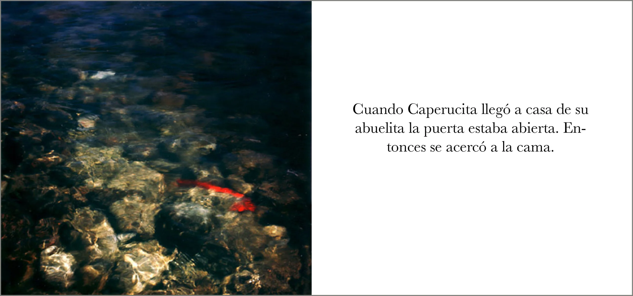 Caperucita 9.jpg