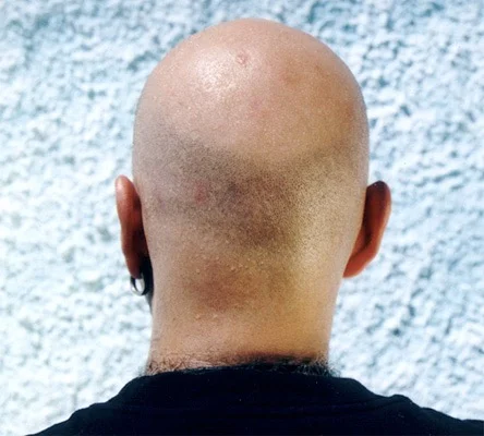 29.jpg