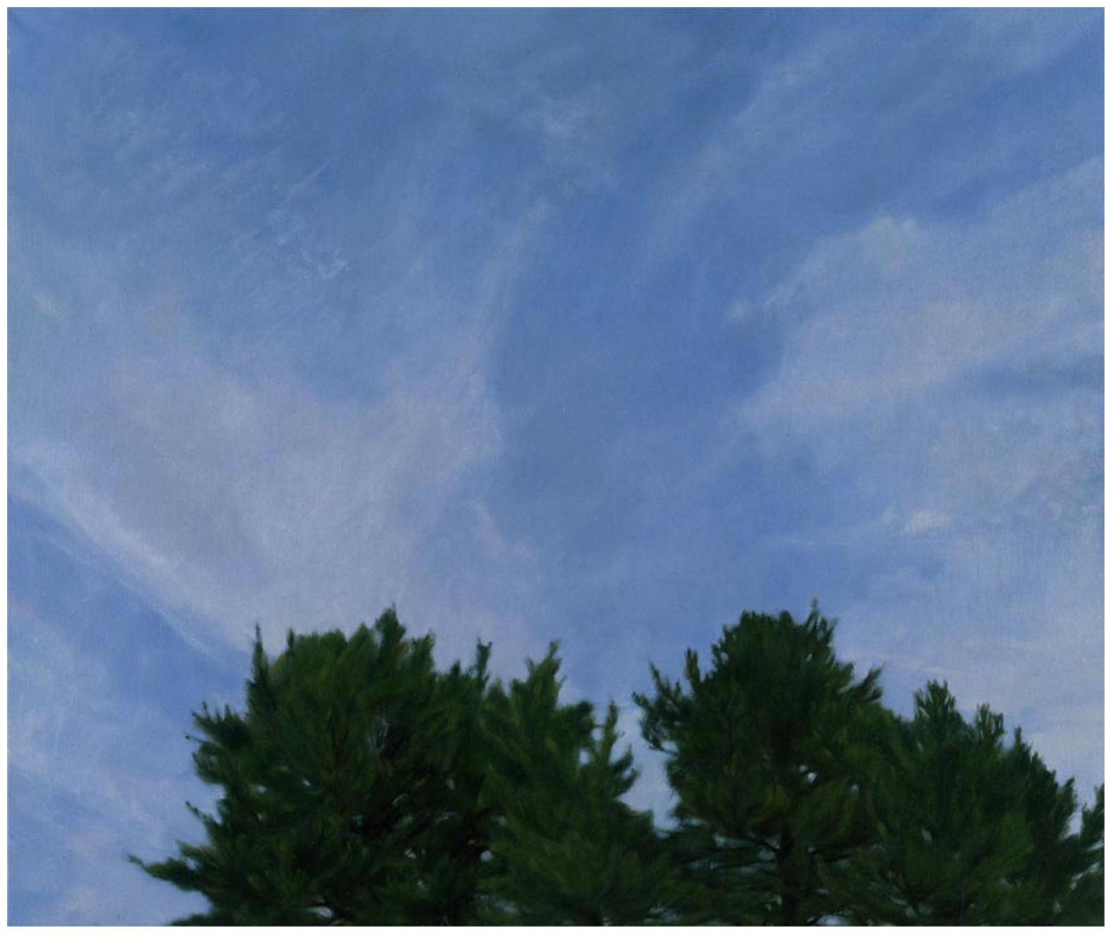 Above the Trees