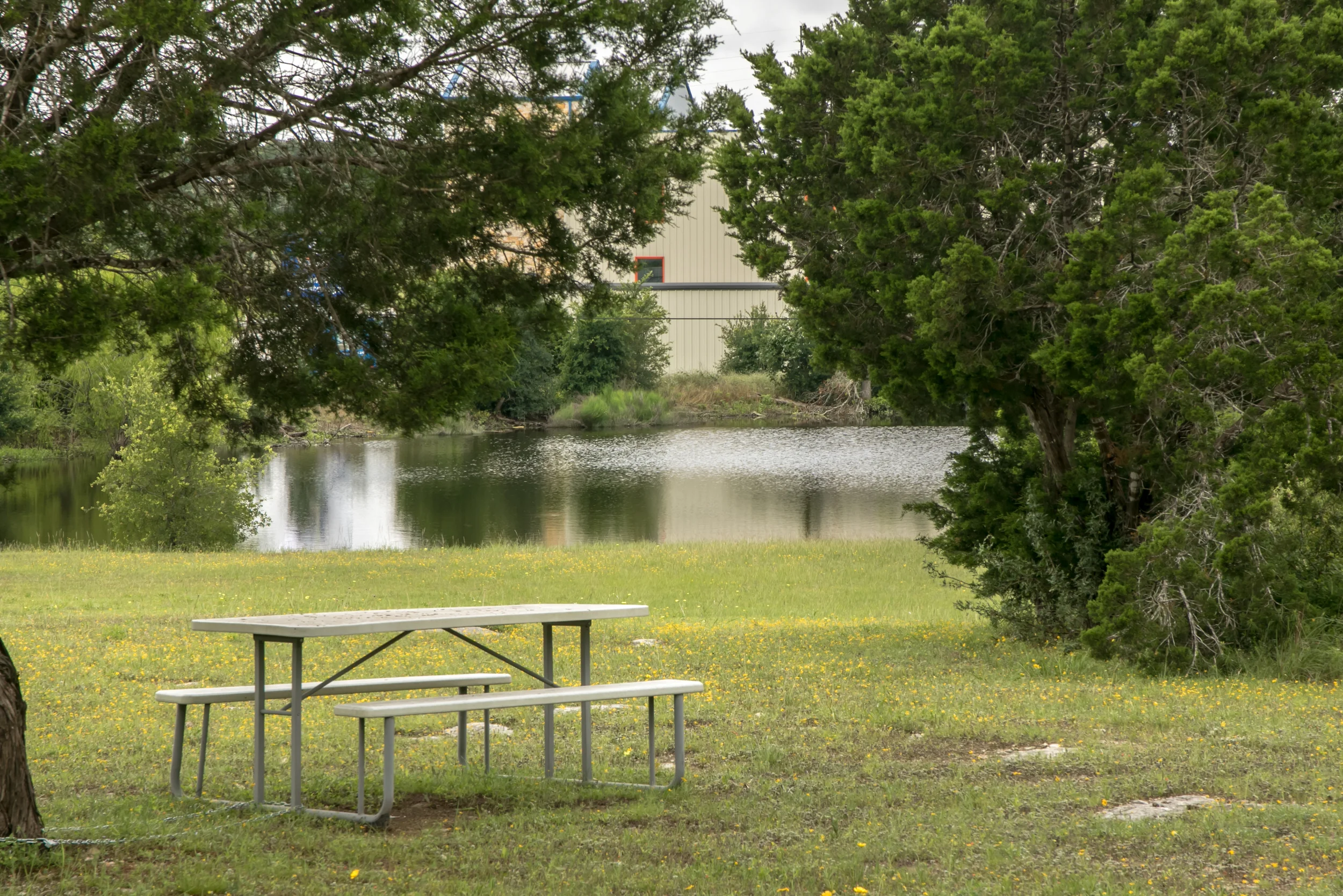 backyard_moretable.jpg