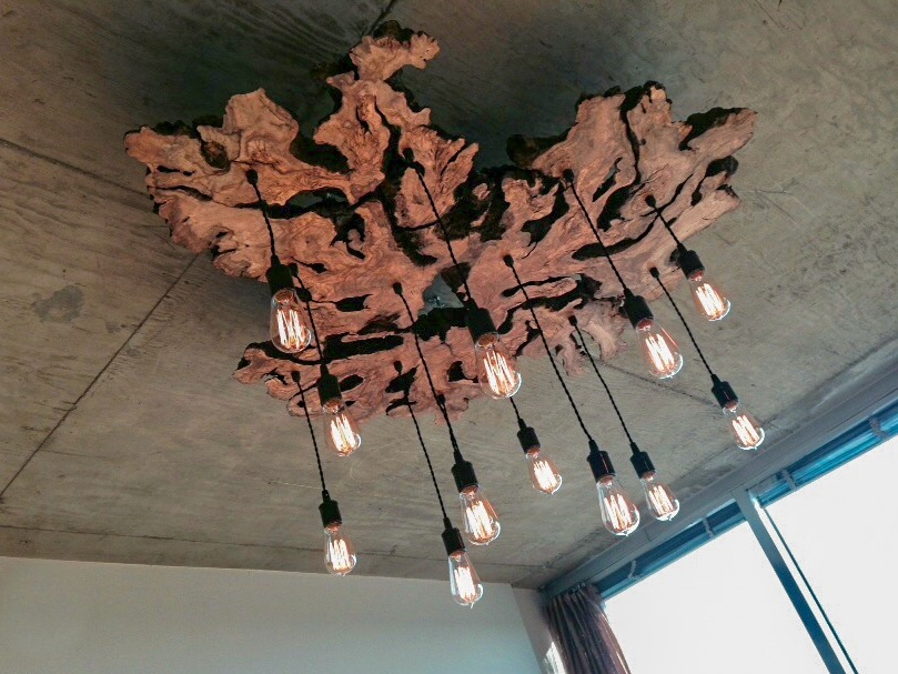 Extra Large Olive Wood Light
