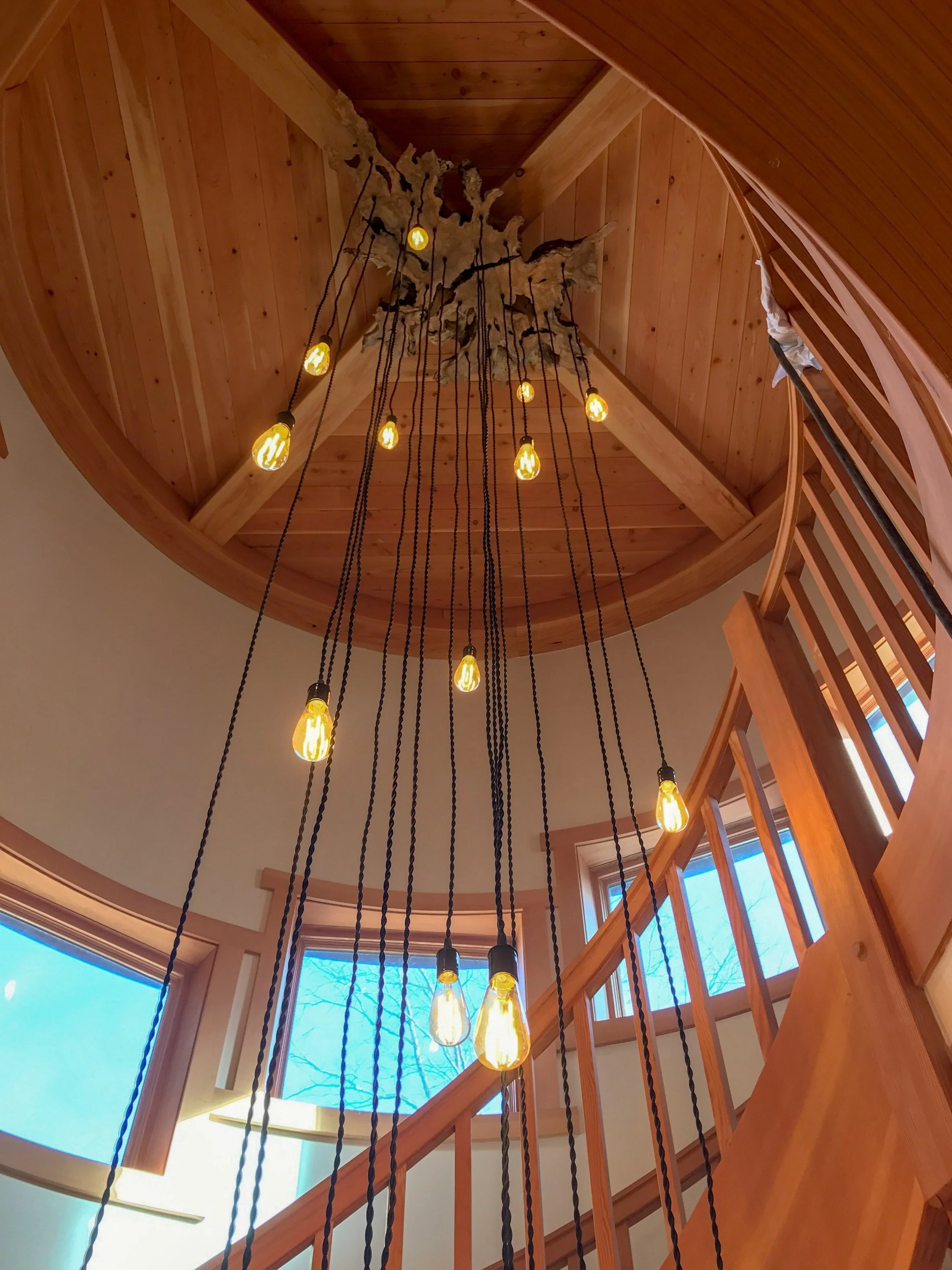 Extra Large Olive Wood Light