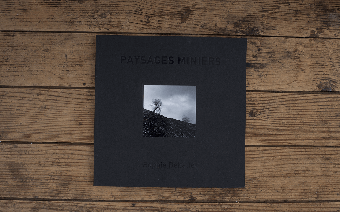 Paysages miniers / Sophie Deballe