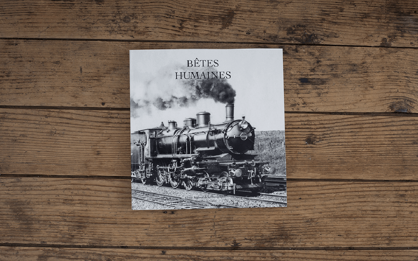 Bêtes Humaines / Archives du Nord