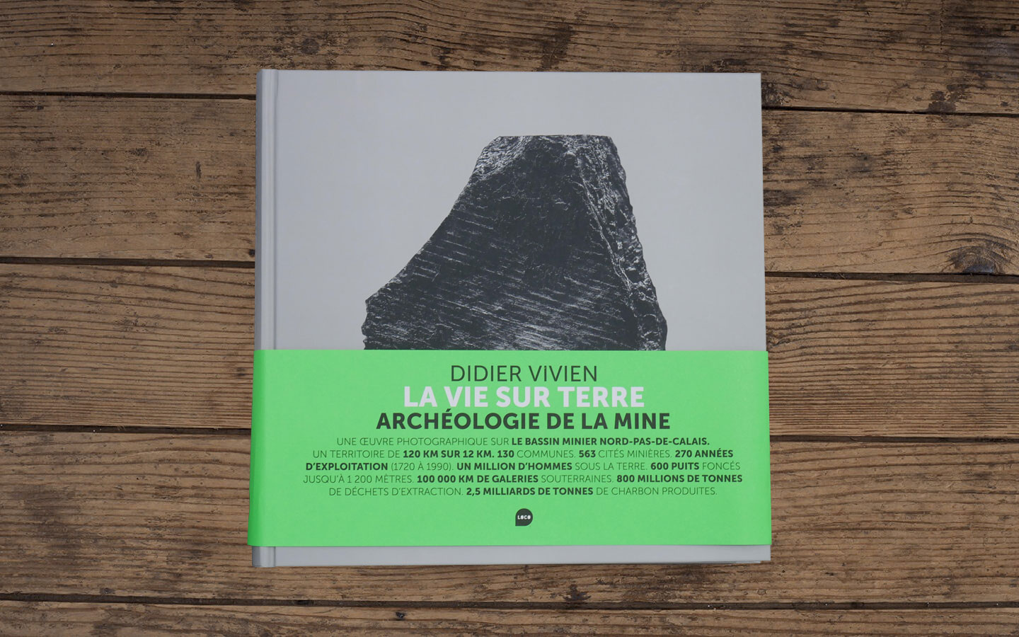 La vie sur terre, archéologie de la mine / Didier Vivien