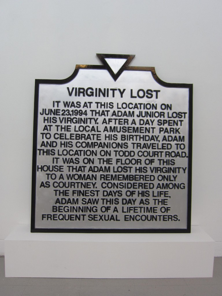 Viginity Lost