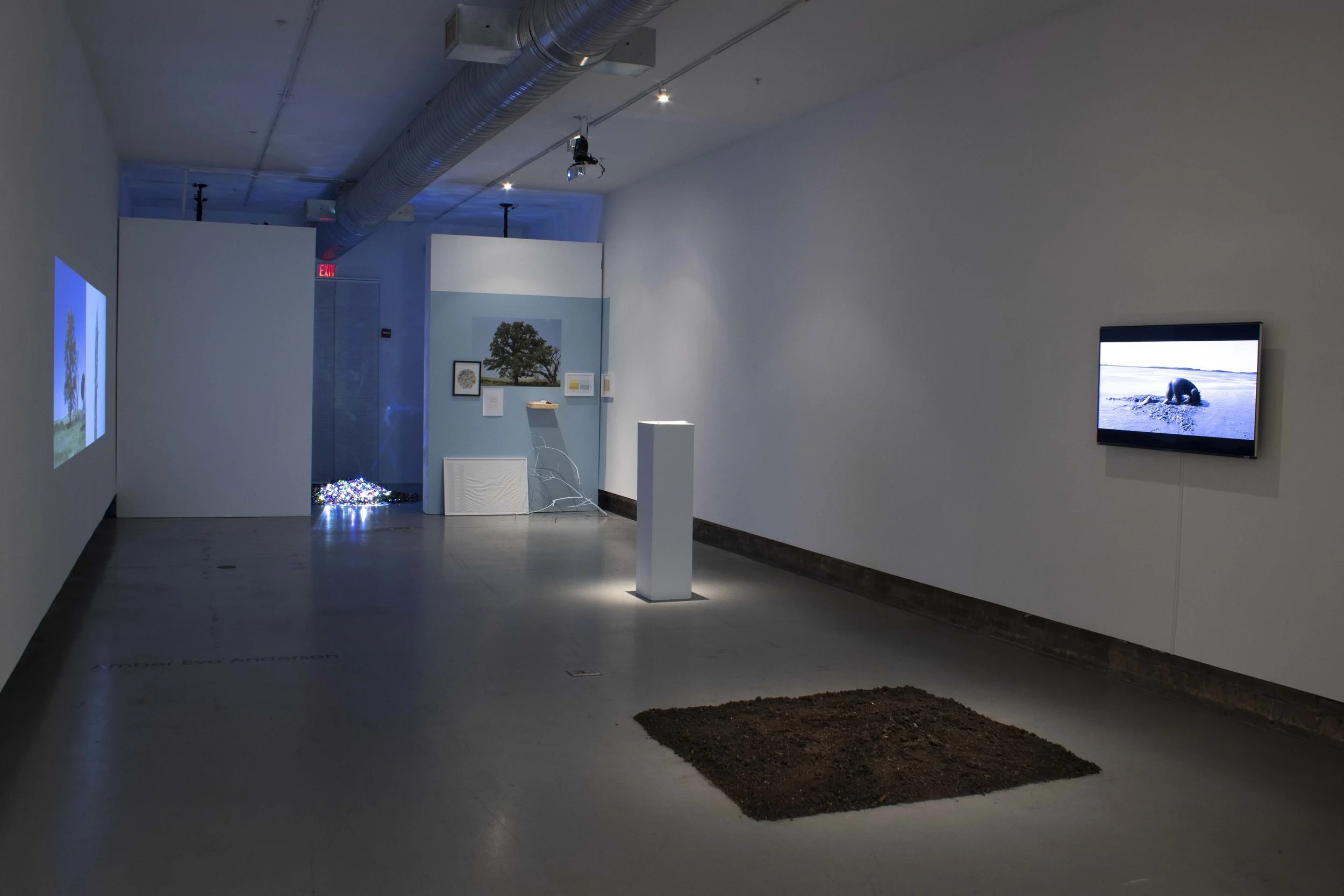 installation view