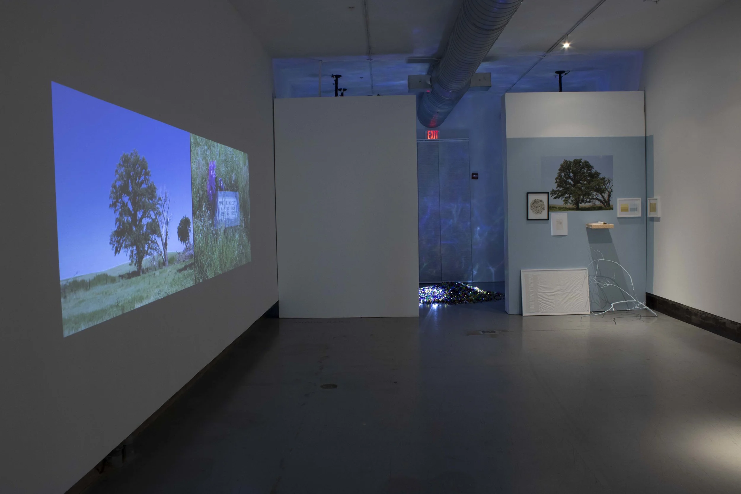 installation view