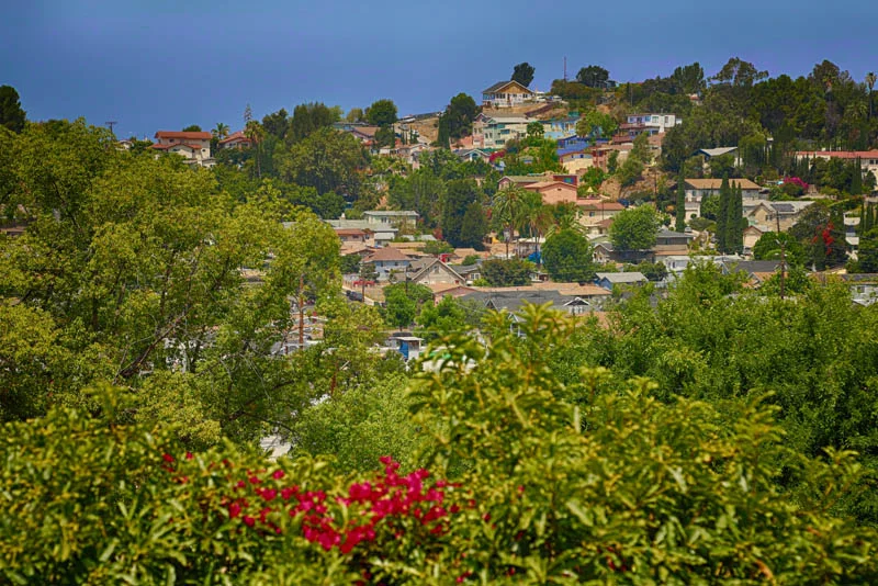 MLS__IMG_9557_HDR.jpg