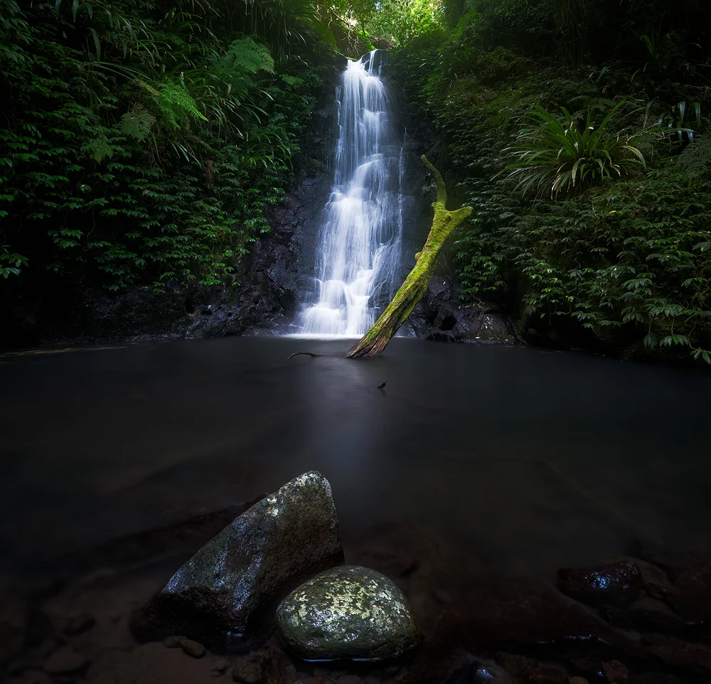 Toolona Creek 04.jpg