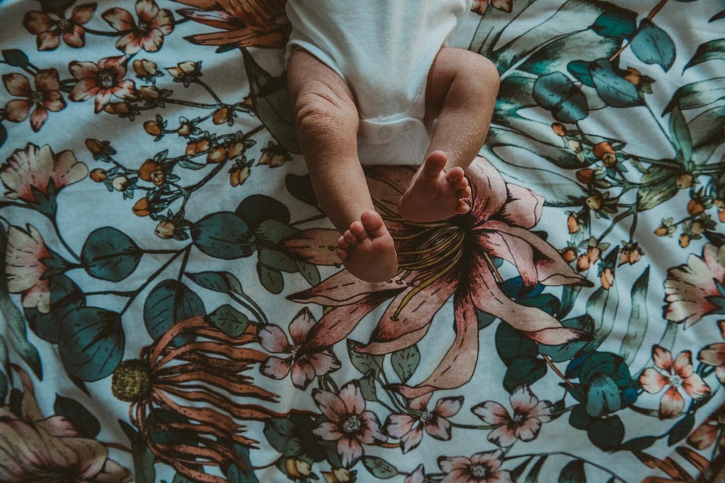 Tiny toes. 

So small, the wrinkly legs, the creases and the flaky skin 🤎

Let me capture your new baby, those details that never want to be forgotten. 
Record those wonderful moments 🤍

#themotherhoodstoryteller

#motherhoodjourney 
#newbornphotog