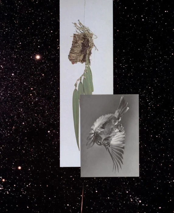 Sechstagewerk_2014_5 Collage 11.7" x 9.4" 2014