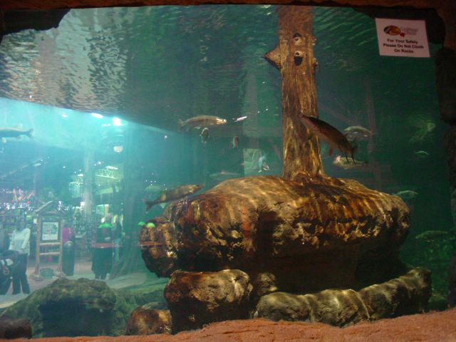 other-bass-aquarium-1.jpg