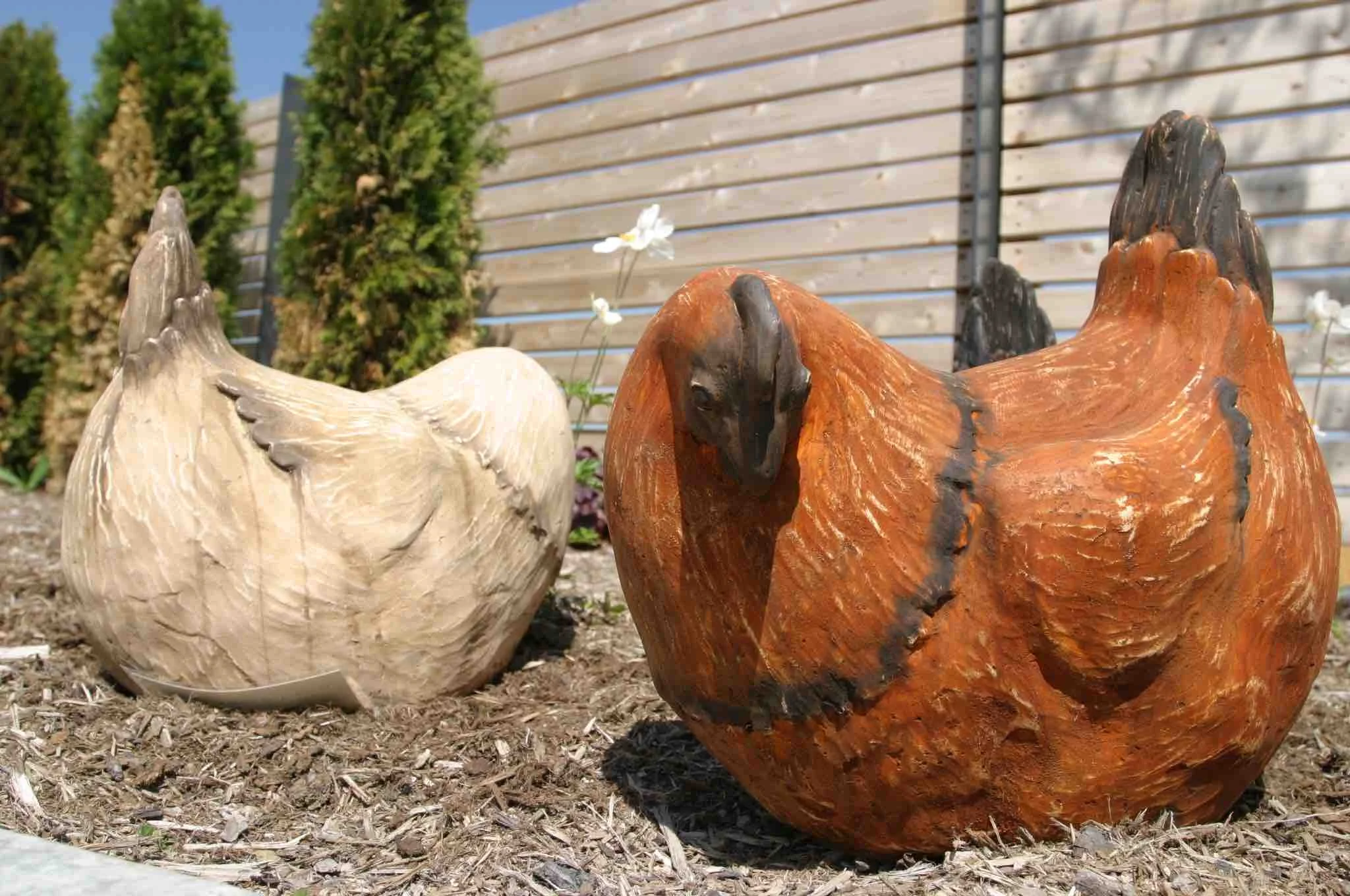 other-2-chickens.jpg