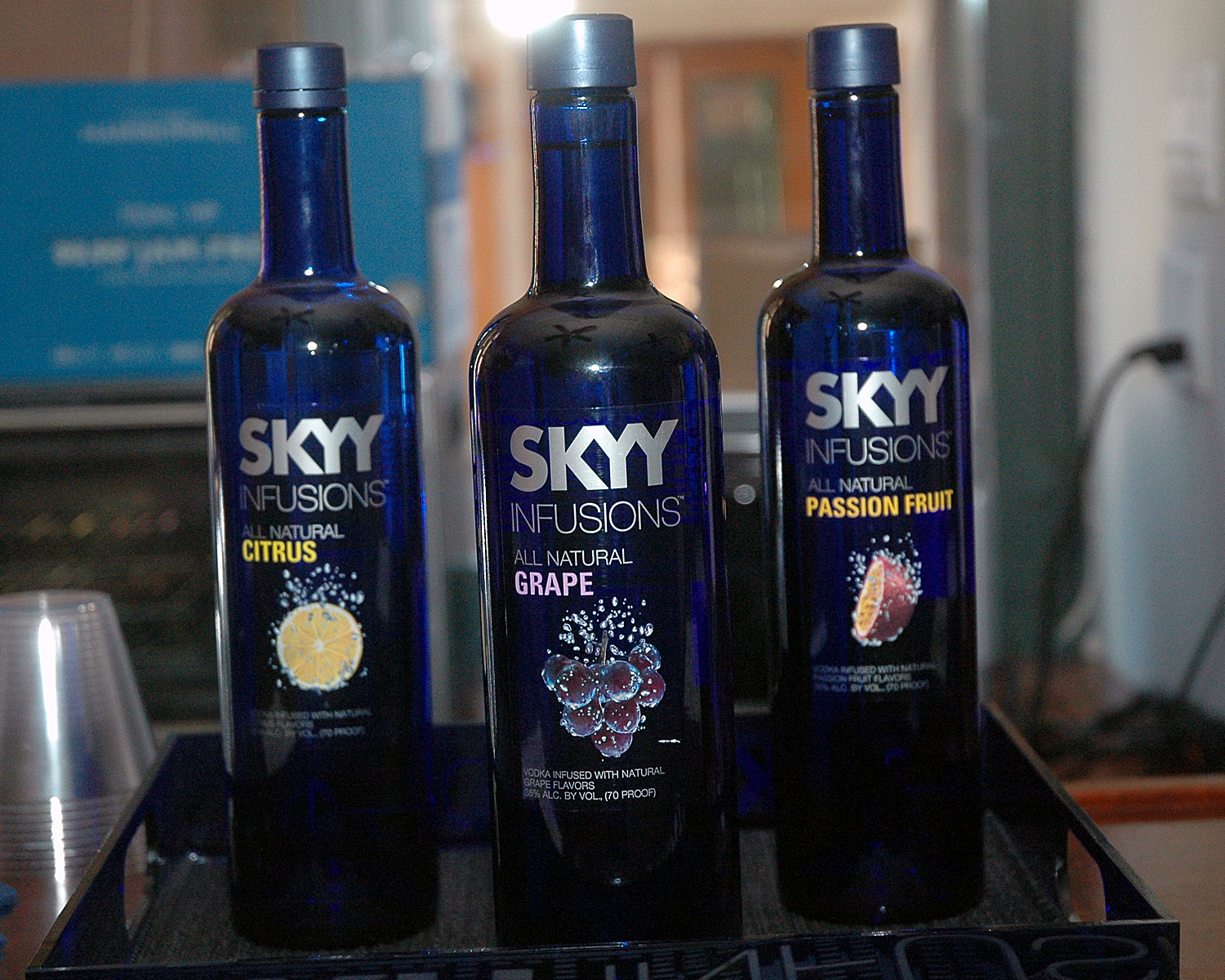 Cocktail Reception Sponsored By SKYY Vodka and Out Professionals