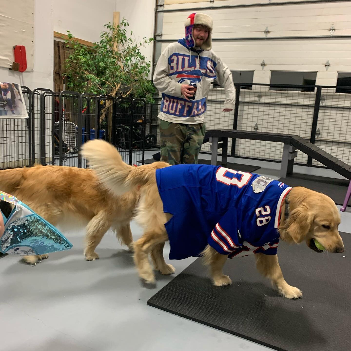 Looks like after hours was all about the Bills tonight!  #peacelovepetcare #gobills❤️🏈💙 #family #steamboatdogs
