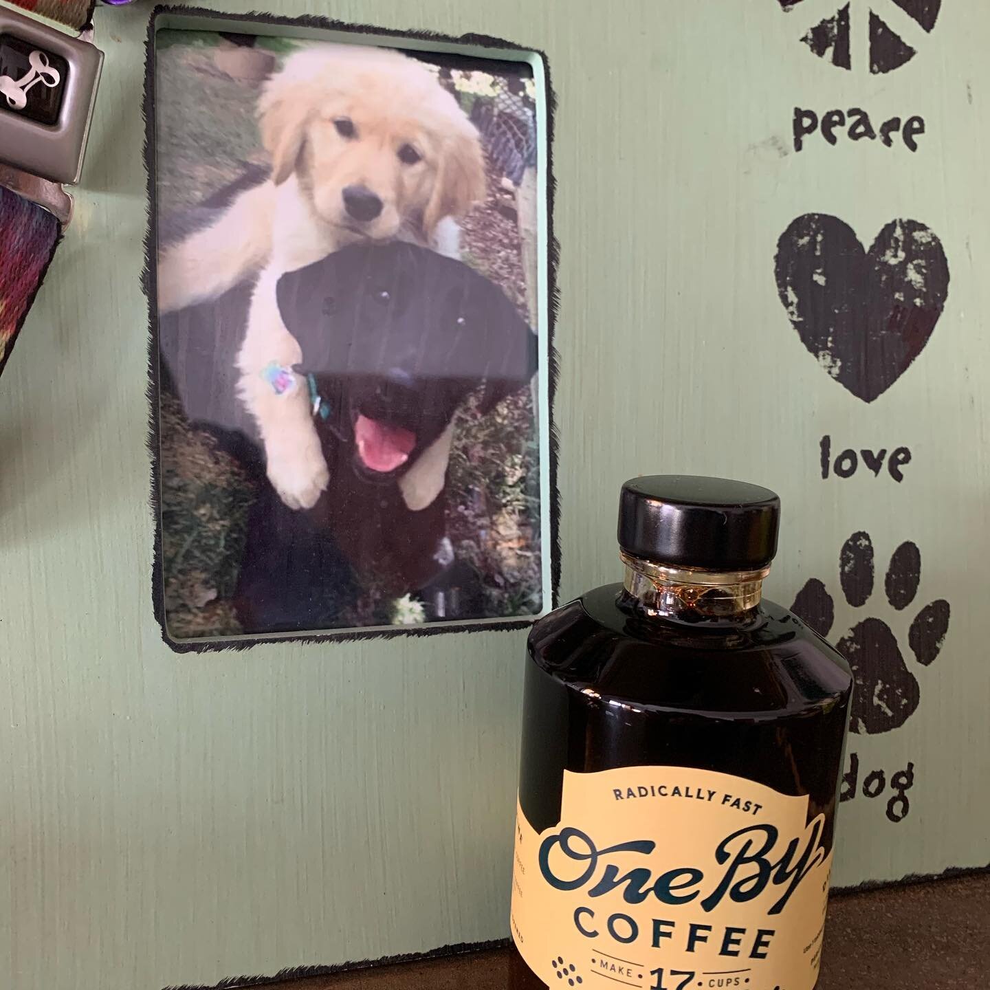 We are loving this new coffee, fast, easy and delicious!  Thanks @onebycoffee !  #onebycoffee #peacelovepetcare #afternoondelight