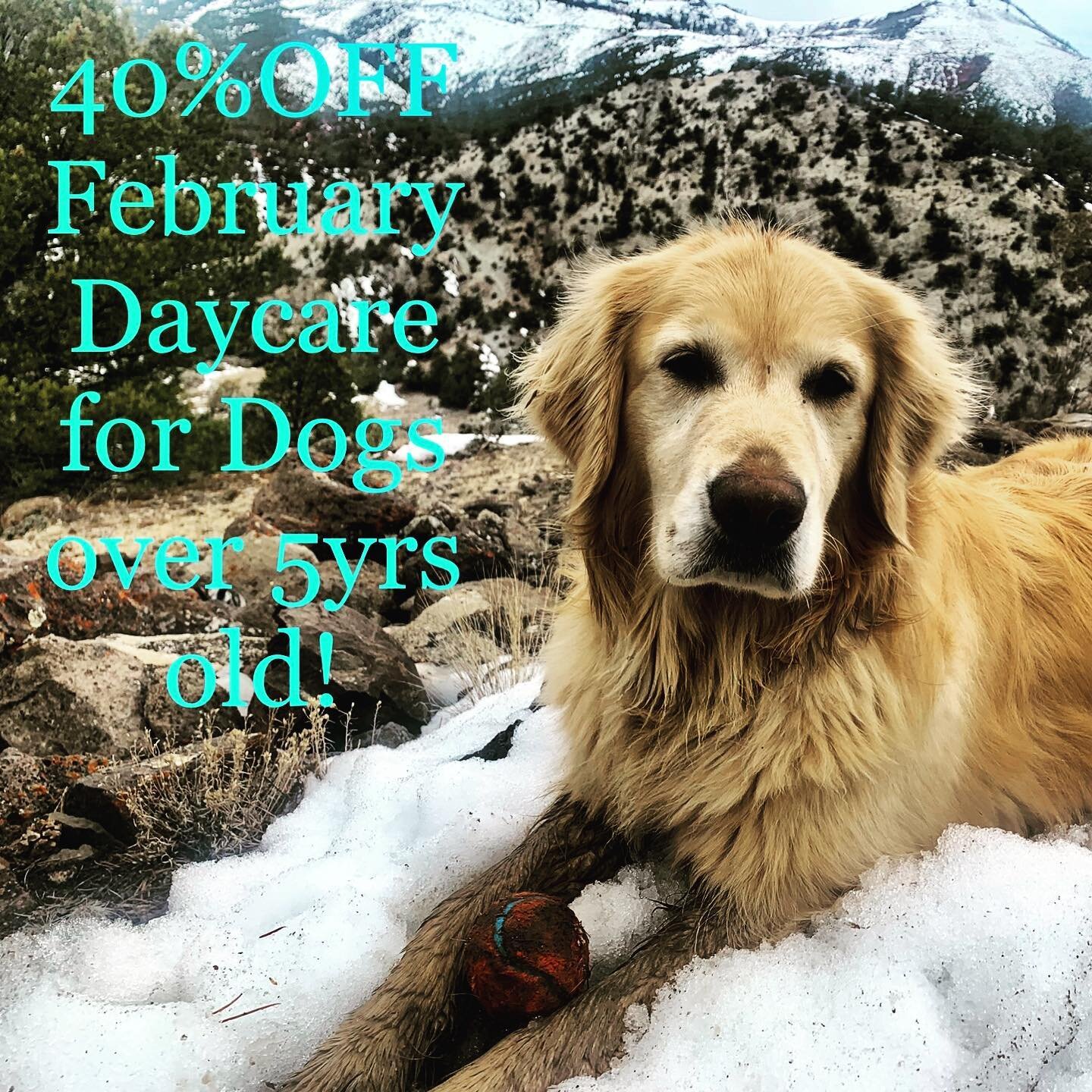 In honor of Boone&rsquo;s Birthday month, Peace Love Petcare will offer 40% off Full or Half Day Daycare for Dogs Over 5 years old for all of February!  Thanks Boone for sharing so many adventures, including Peace Love Petcare! #peacelovepetcare #boo