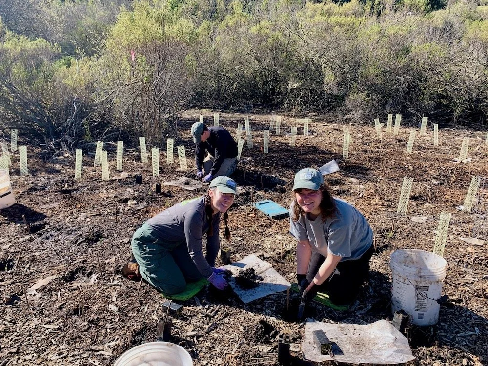 Environmental Internships in the Bay Area — Grassroots Ecology