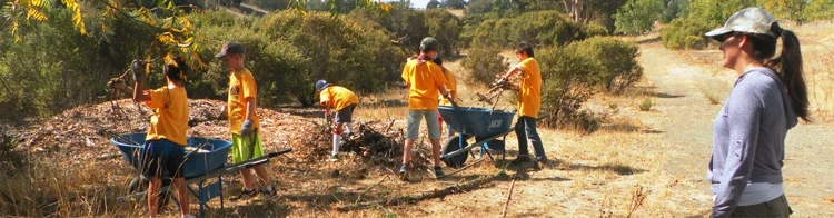 habitat-restoration.jpg