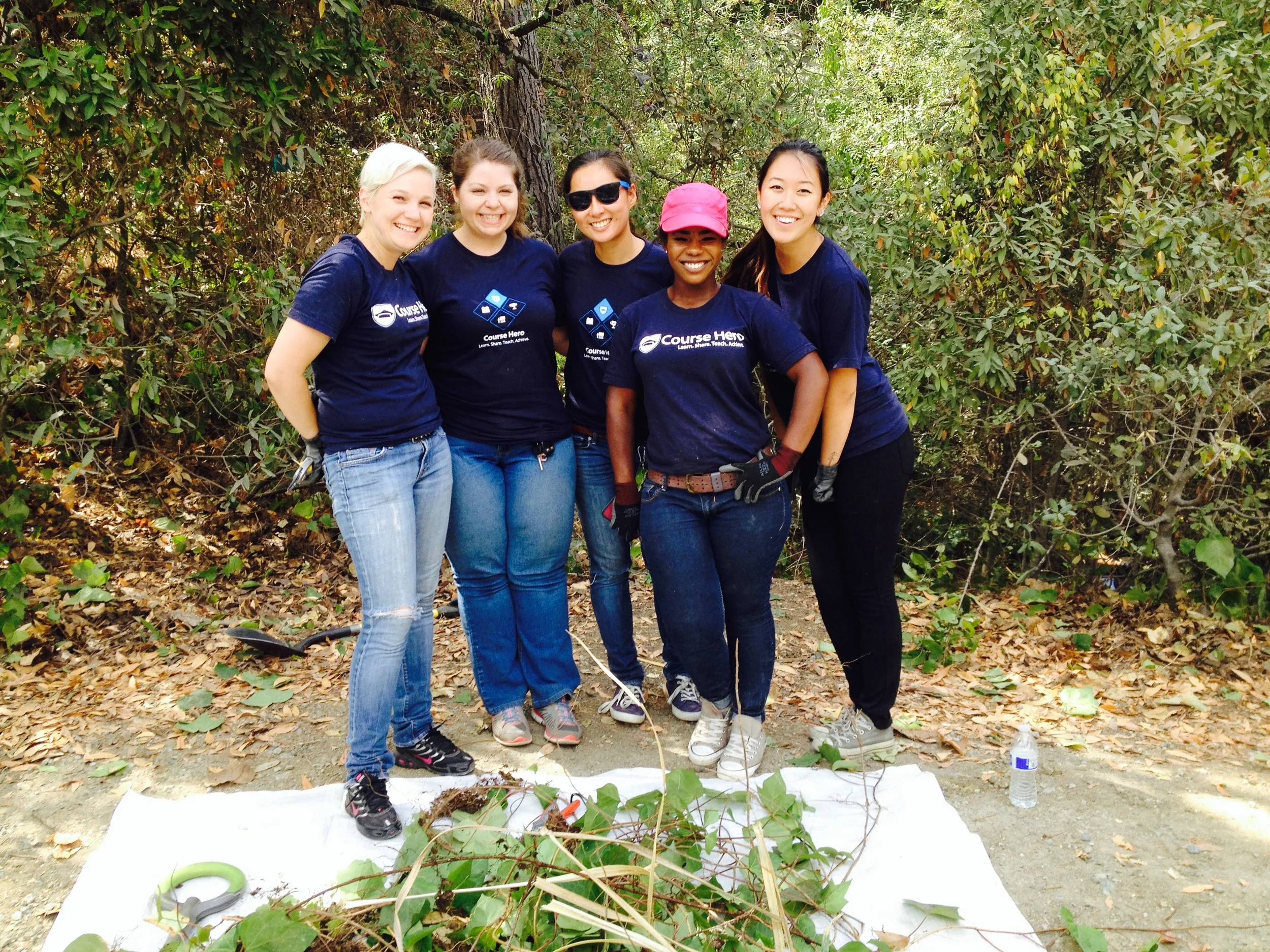 Volunteers from SAP help remove invasive ivy