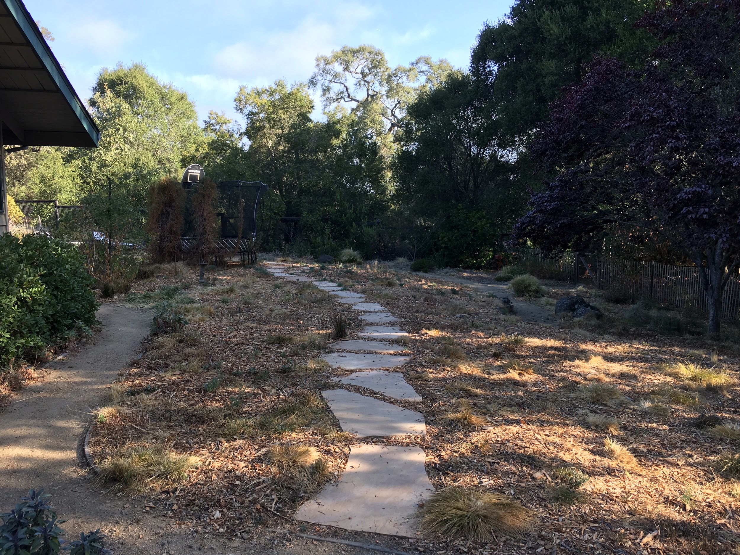 Native plant meadow in October after maintenance activities