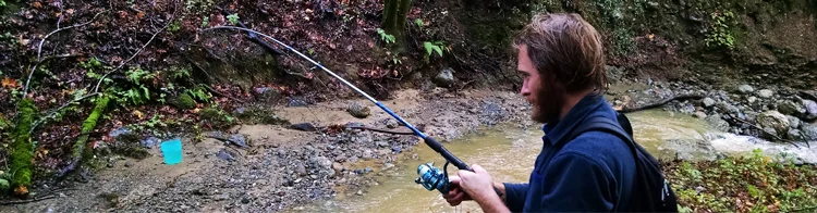 water-quality-monitoring-banner.jpg