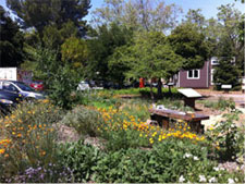 Lucie Stern Demo Garden.jpeg