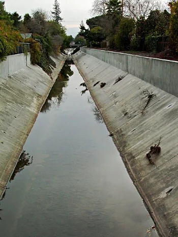 Similar to many of our local creeks, parts of Matadero Creek in Palo Alto have been channelized