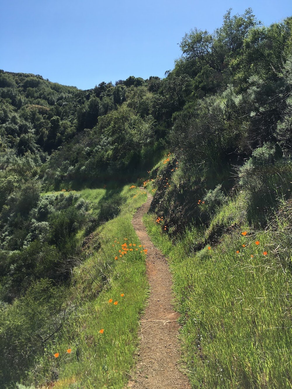 Foothills Trails - All You Need to Know BEFORE You Go (with Photos)