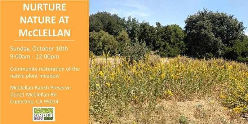 Event cover, McClellan meadow