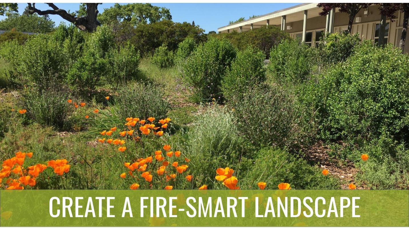 Create a fire-smart landscapge.jpg