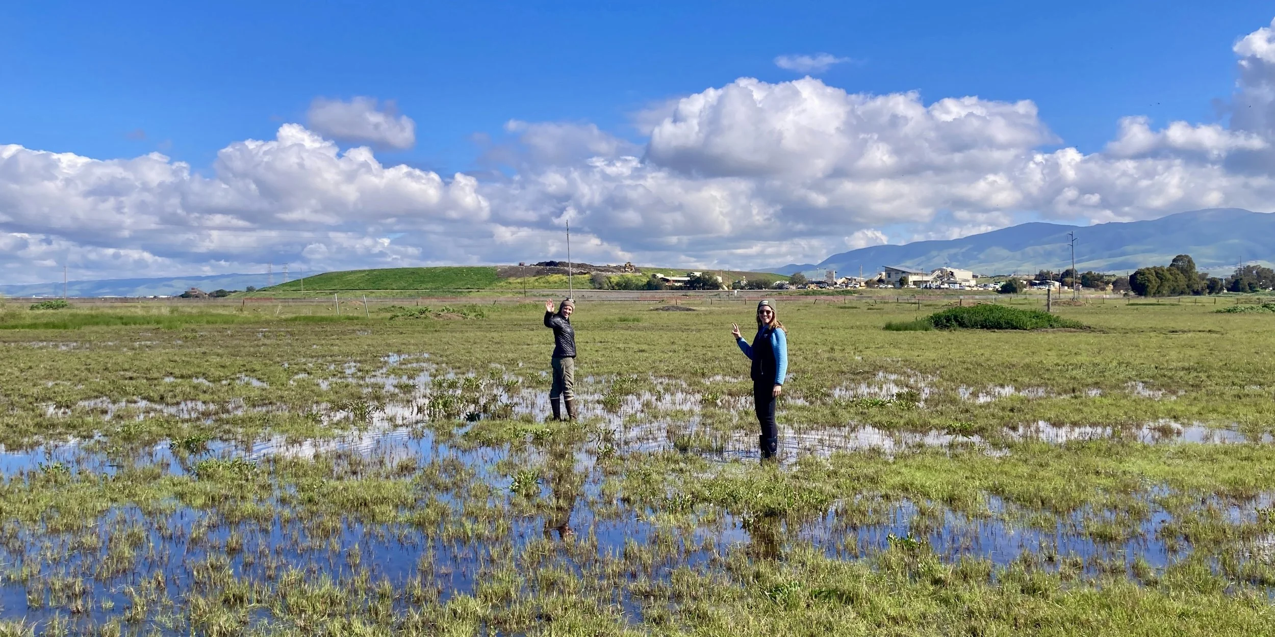 On our way to healthier ecosystems copy.jpeg